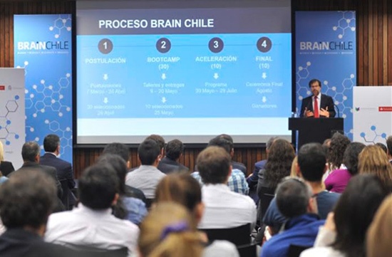 brain-chile-5-0316
